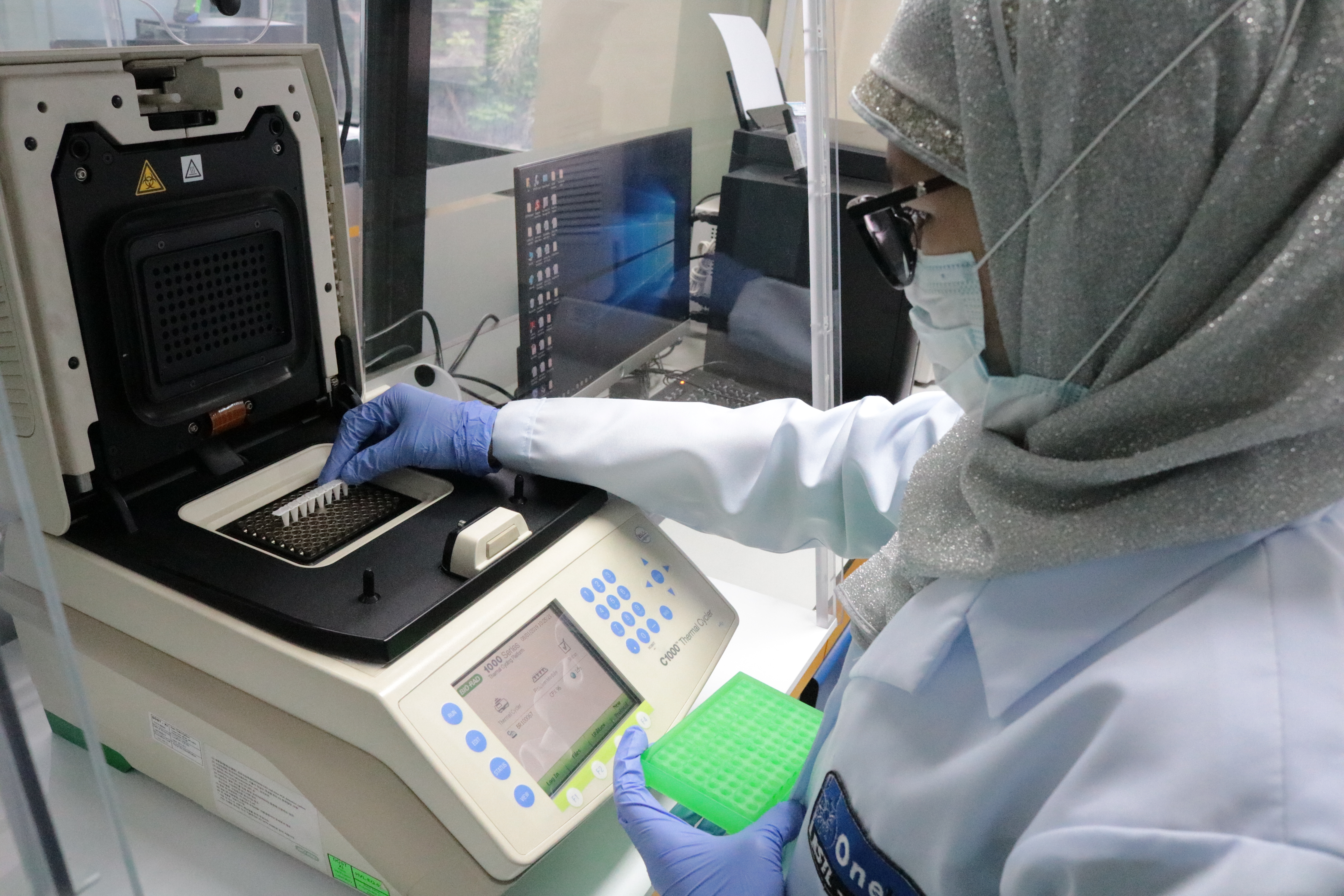 Porcine DNA Testing